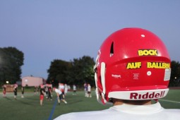 Cougars erwachen aus dem Winterschlaf