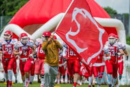 Cougars müssen gegen Paderborn liefern