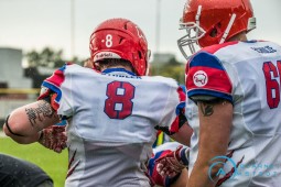 28:62 - Cougars verlieren in Elmshorn